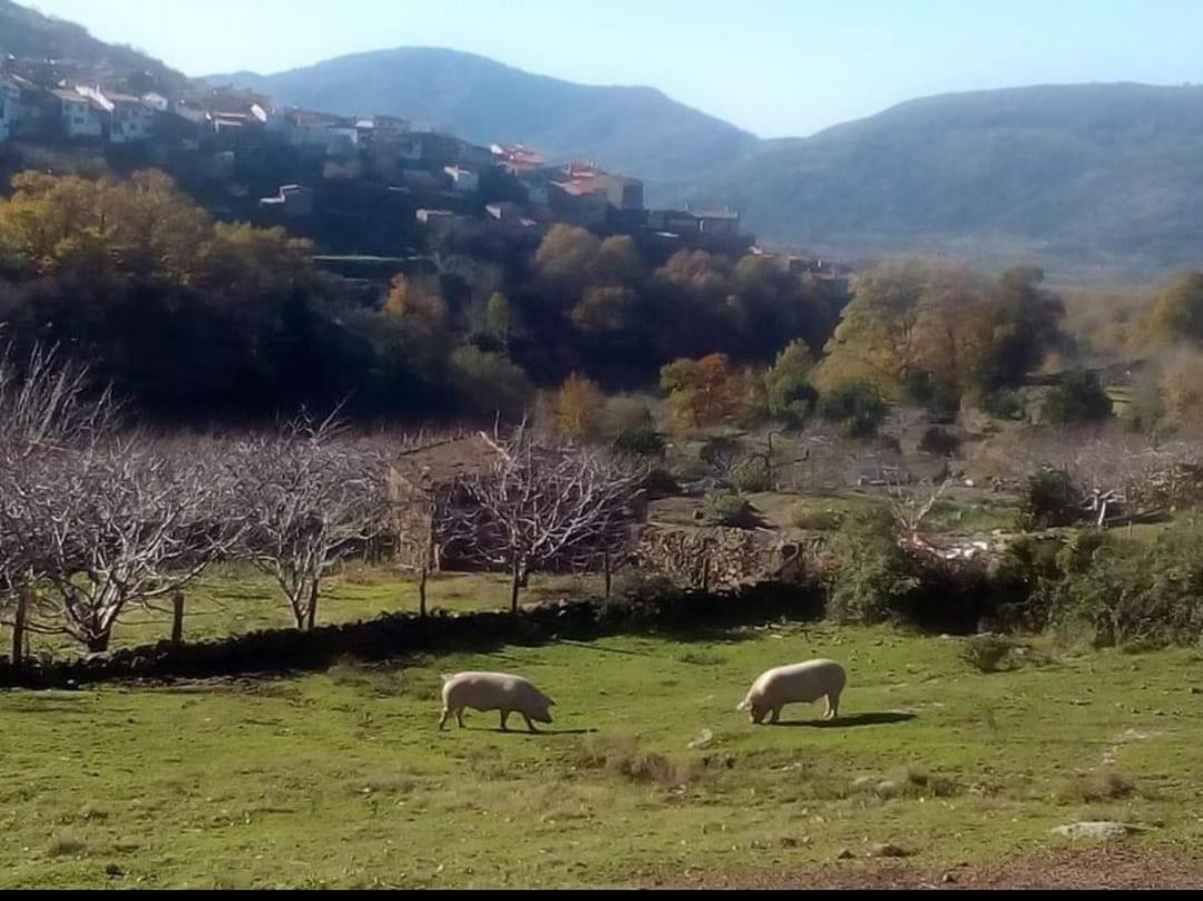 El Nido, Casa Rural Casas del Castañar المظهر الخارجي الصورة