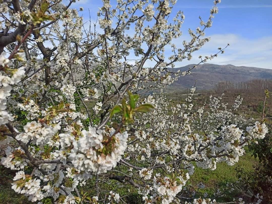 El Nido, Casa Rural Casas del Castañar المظهر الخارجي الصورة
